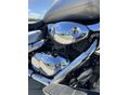 SUZUKI VL 1500 (INTRUDER) 2006/7 - 5