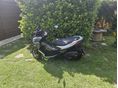 APRILIA SR GT 125 2023/10 - 2