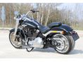 HARLEY-DAVIDSON FAT BOY 2019/6 - 8