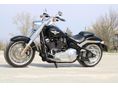 HARLEY-DAVIDSON FAT BOY 2019/6 - 9