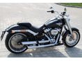 HARLEY-DAVIDSON FAT BOY 2019/6 - 11