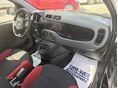FIAT PANDA 2017/10 - 6