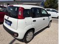 FIAT PANDA 2017/10 - 12