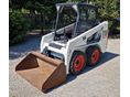 BOBCAT S100