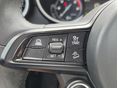 ALFA ROMEO STELVIO 2021/12 - 6