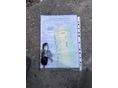 RENAULT CLIO 2002 - 7