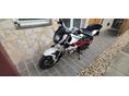 BENELLI BN 125 2020 - 7