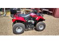 KYMCO MXU 250 2010 - 9