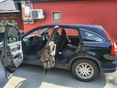 HONDA CR-V 2007/4 - 4