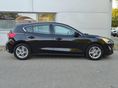 FORD FOCUS 2019/11 - 2