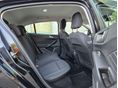FORD FOCUS 2019/11 - 11