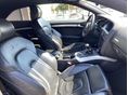 AUDI A5 2008/1 - 11