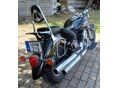 YAMAHA XVS 1100 A DRAG STAR 2006/8 - 3