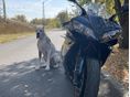 YAMAHA YZF R1 2007/5 - 6