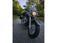 SUZUKI VL 800 (INTRUDER) 2005 - 2