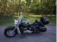 SUZUKI VL 800 (INTRUDER) 2005 - 8