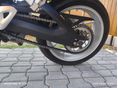 TRIUMPH TIGER 1050 ABS 2007/4 - 7