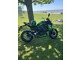 KAWASAKI Z 900 2020/4 - 6