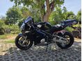 HONDA CBR 600 RR 2004/2 - 11