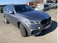 BMW X5 xDrive30d (Automata)