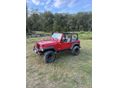 JEEP WRANGLER 1998/7 - 4
