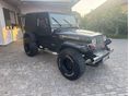 JEEP WRANGLER 1995/8 - 2