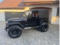 JEEP WRANGLER 1995/8 - 6