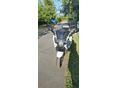 BMW K 1600 GT 2011/7 - 7