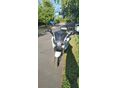 BMW K 1600 GT 2011/7 - 8