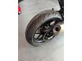 TRIUMPH SPEED 400 2024/4 - 17