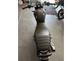 TRIUMPH SPEED 400 2024/4 - 25