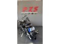 YAMAHA XVS 1100 DRAG STAR 2000/12 - 8