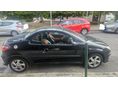 PEUGEOT 206 2002/1 - 8