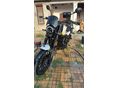 BENELLI LEONCINO 250 