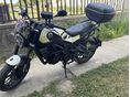BENELLI LEONCINO 250 2022/1 - 4