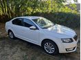 SKODA OCTAVIA 1.6 CR TDI Elegance