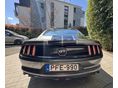 FORD MUSTANG 2017/6 - 11