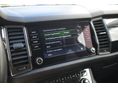 SKODA KODIAQ 2020/5 - 20