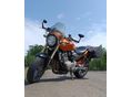 HONDA CB 600 F (HORNET) 2005/5 - 3