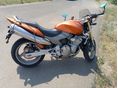 HONDA CB 600 F (HORNET) 2005/5 - 4