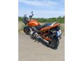 HONDA CB 600 F (HORNET) 2005/5 - 5