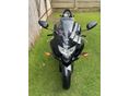 SUZUKI GSX-R 600 2005/7 - 7