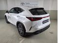 LEXUS NX 2025/5 - 2