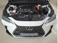 LEXUS NX 2025/5 - 10