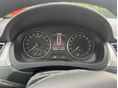 SKODA RAPID 2015/5 - 7