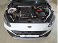 FORD FOCUS 2020/1 - 10