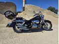 HONDA VT 750 2006 - 3