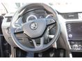 SKODA OCTAVIA 2018/7 - 8