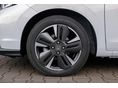HONDA JAZZ 2026/8 - 6