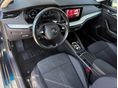 SKODA OCTAVIA 2023/6 - 5